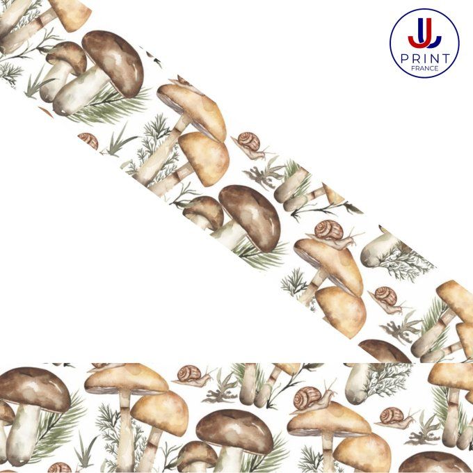 BOLETS