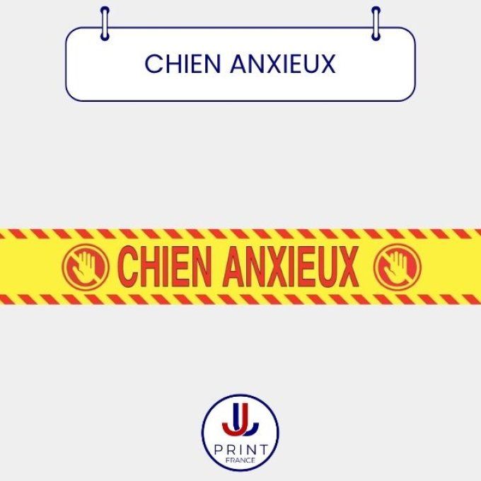 CHIEN ANXIEUX 