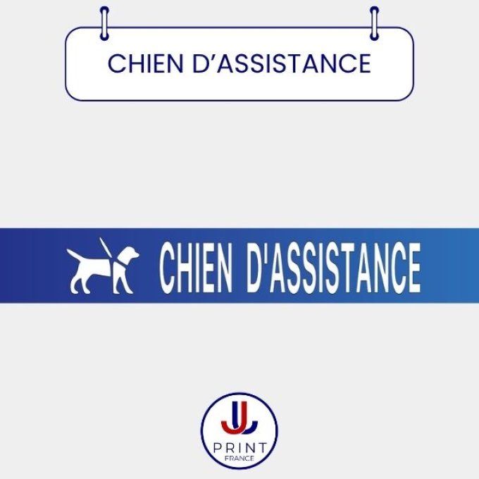 CHIEN D'ASSISTANCE