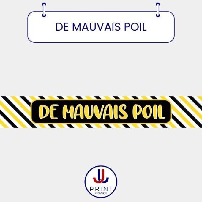 DE MAUVAIS POIL