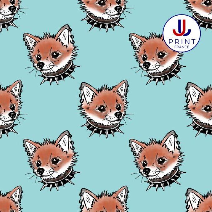 FOXY PUNK