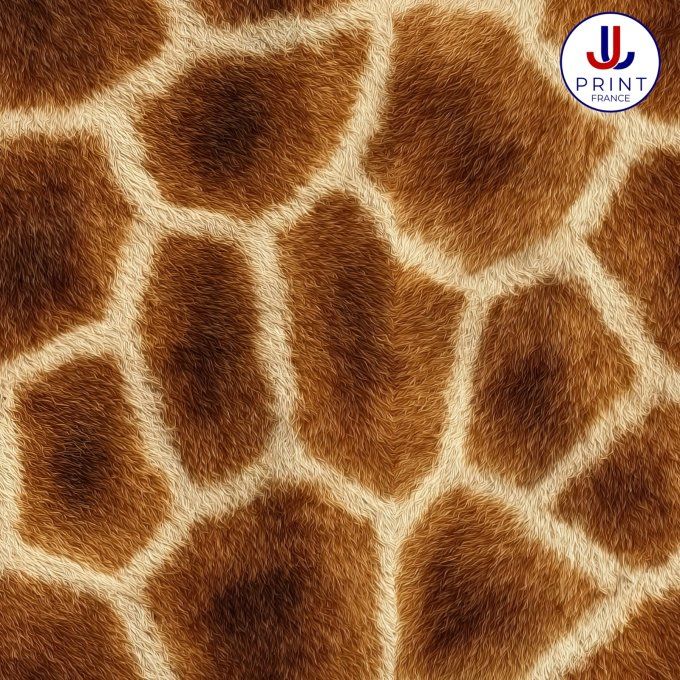 GIRAFE SAUVAGE