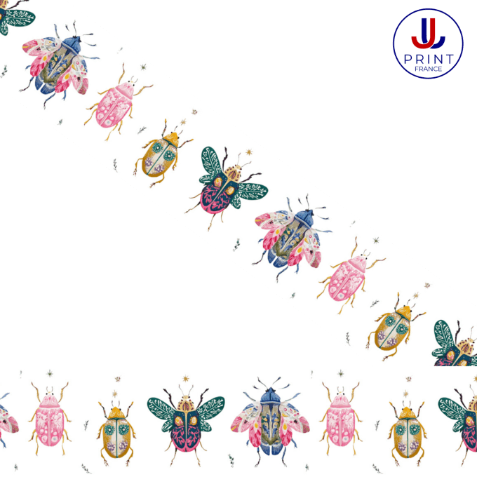 COLÉOPTÈRES