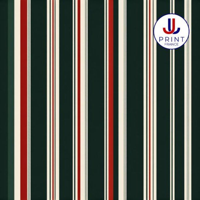 STRIPES -2